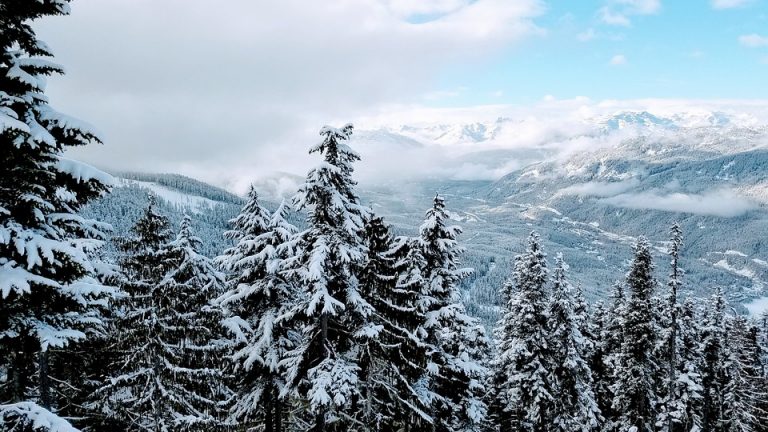 La ville de Whistler : Venez apprécier ce joyau du Canada